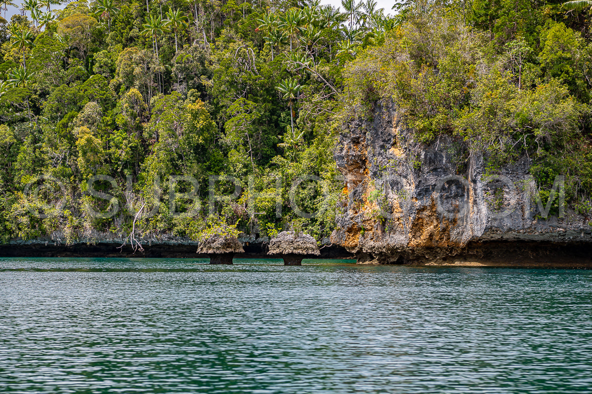 Waigeo- Kri- Mushroom Island- group of small islands in shallow blue lagoon water- Raja Ampat- West Papua- Indonesia