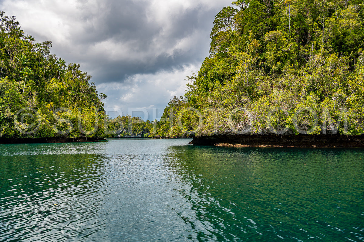 Waigeo- Kri- Mushroom Island- group of small islands in shallow blue lagoon water- Raja Ampat- West Papua- Indonesia
