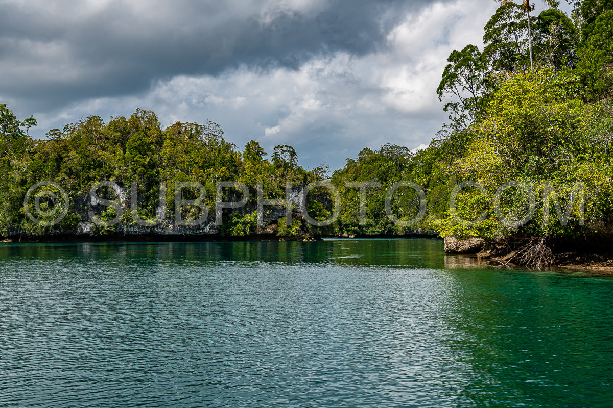Waigeo- Kri- Mushroom Island- group of small islands in shallow blue lagoon water- Raja Ampat- West Papua- Indonesia