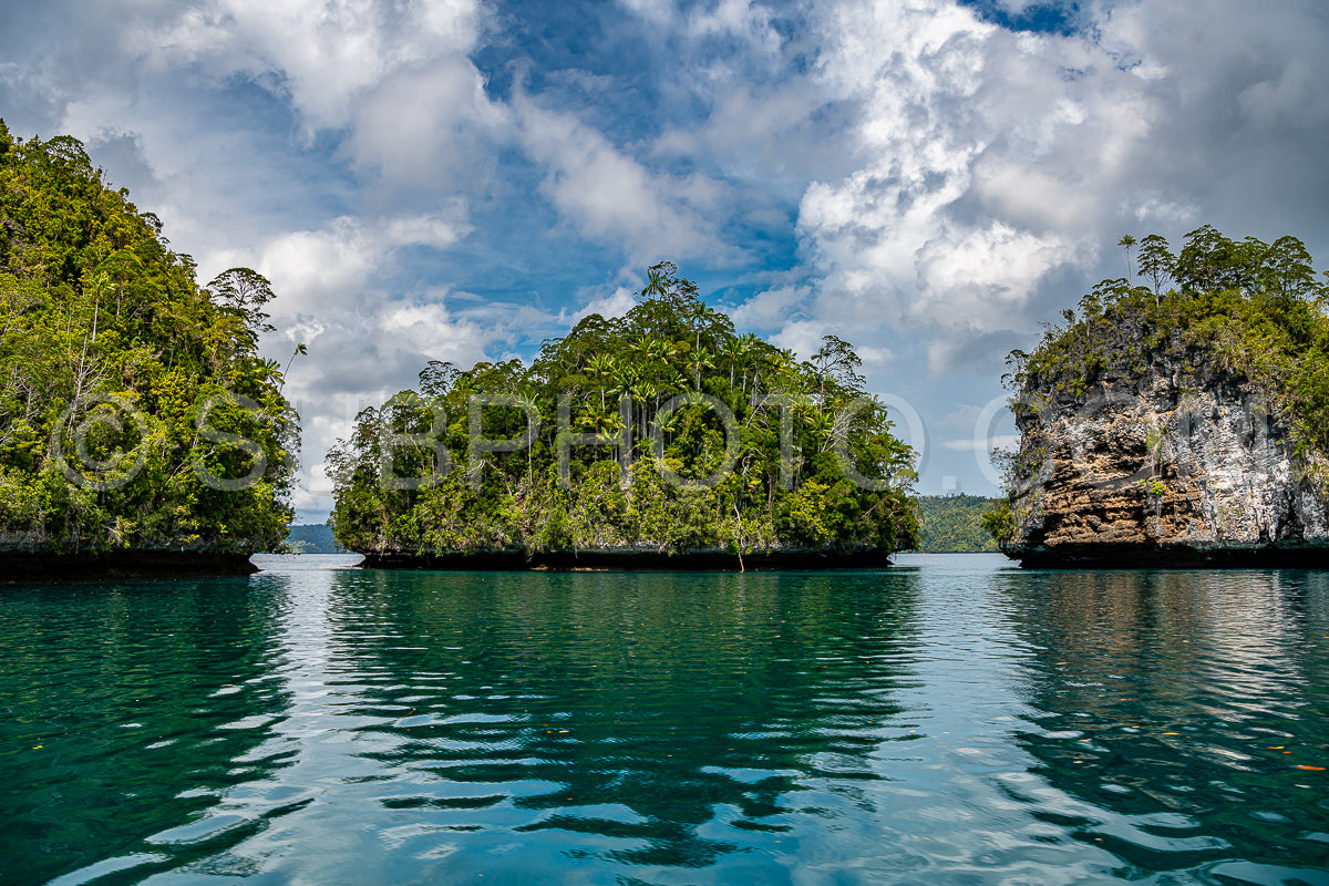 Waigeo- Kri- Mushroom Island- group of small islands in shallow blue lagoon water- Raja Ampat- West Papua- Indonesia