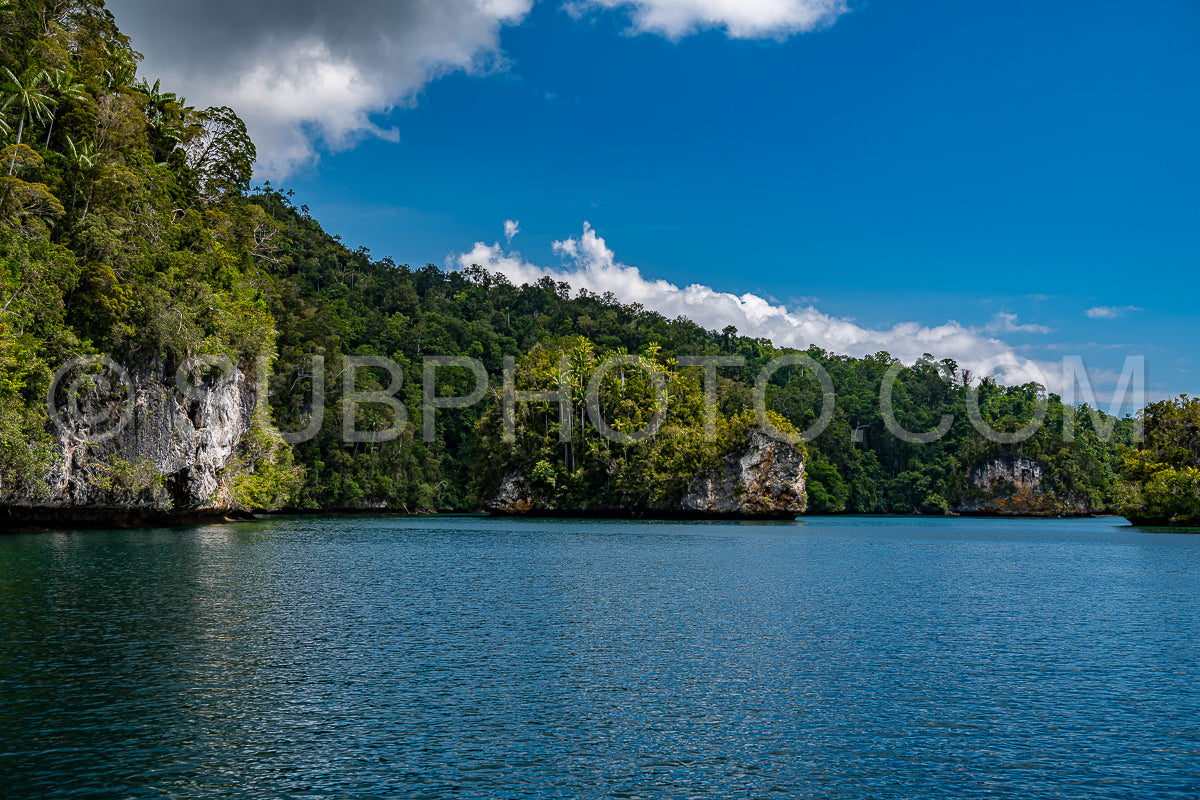 Waigeo- Kri- Mushroom Island- group of small islands in shallow blue lagoon water- Raja Ampat- West Papua- Indonesia