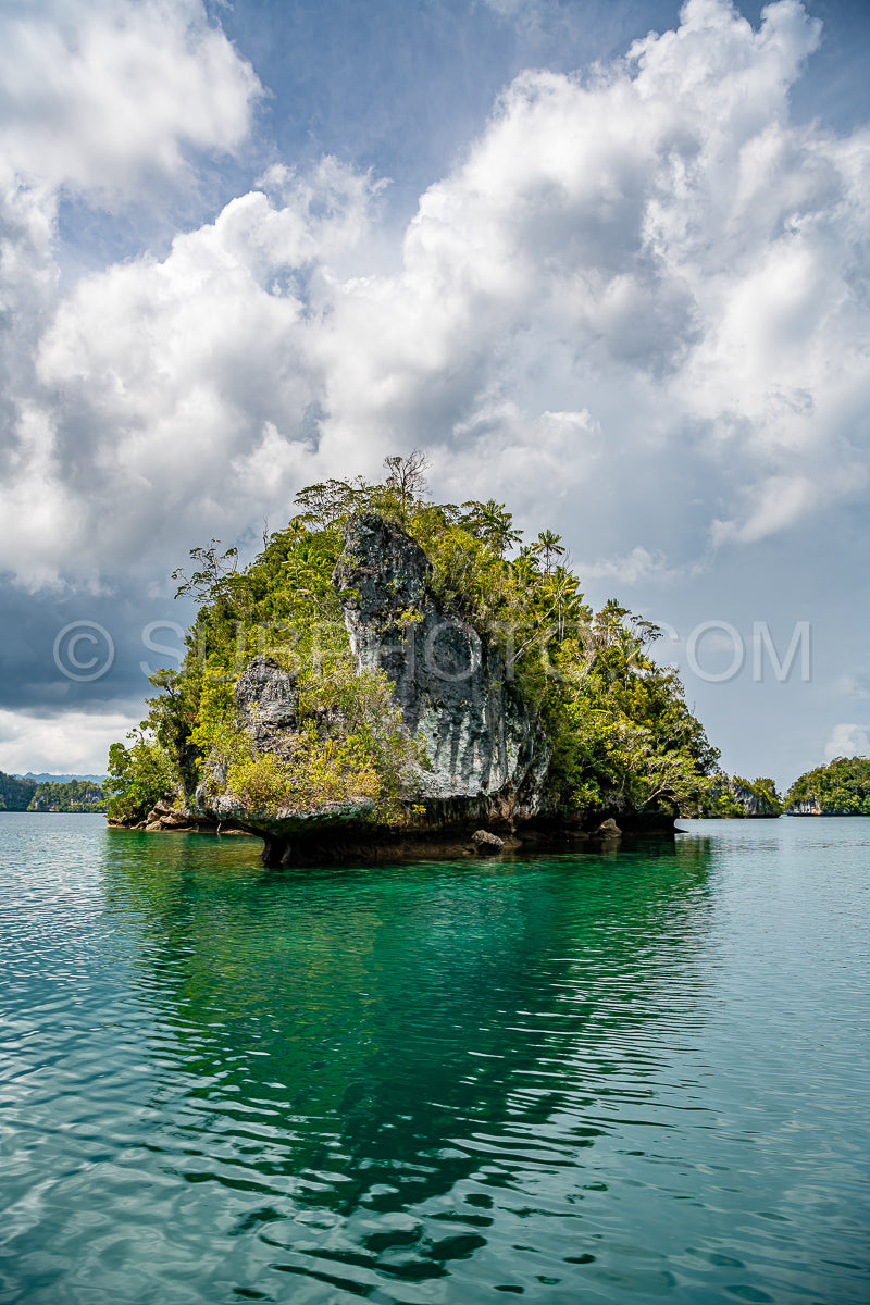 Waigeo- Kri- Mushroom Island- group of small islands in shallow blue lagoon water- Raja Ampat- West Papua- Indonesia