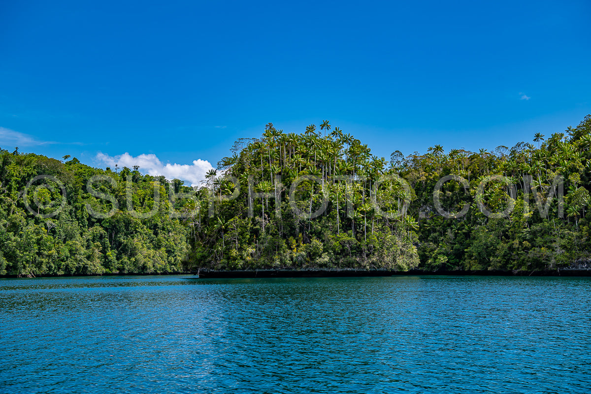 Waigeo- Kri- Mushroom Island- group of small islands in shallow blue lagoon water- Raja Ampat- West Papua- Indonesia