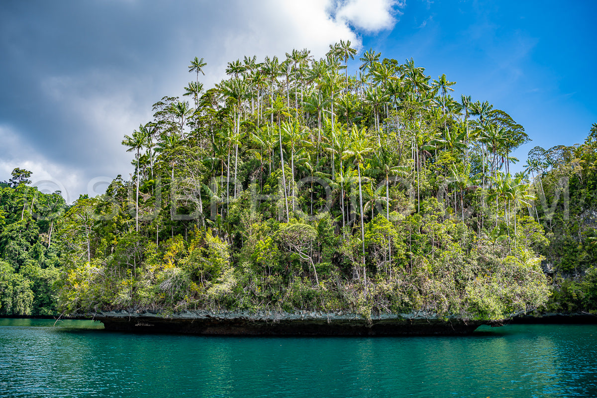Waigeo- Kri- Mushroom Island- group of small islands in shallow blue lagoon water- Raja Ampat- West Papua- Indonesia