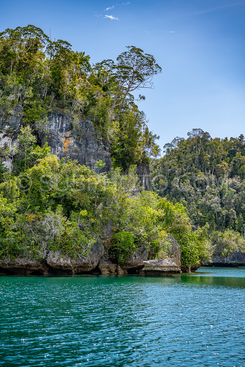 Waigeo- Kri- Mushroom Island- group of small islands in shallow blue lagoon water- Raja Ampat- West Papua- Indonesia