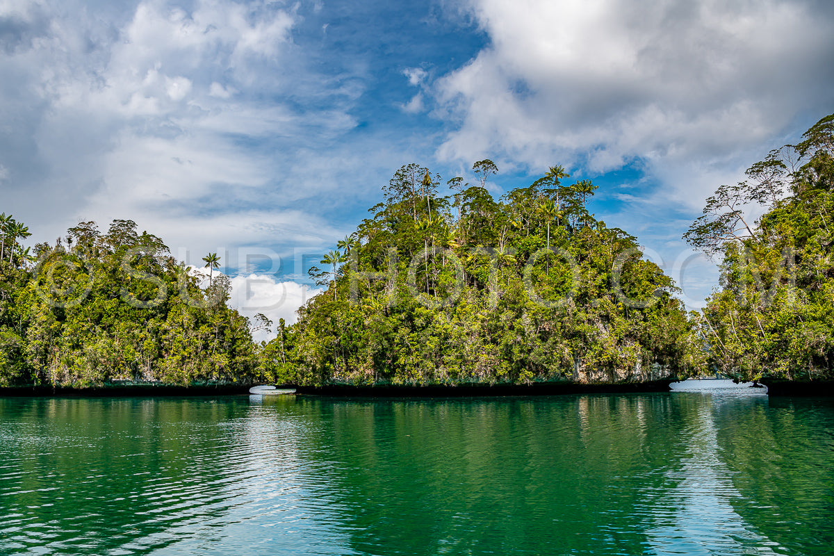 Waigeo- Kri- Mushroom Island- group of small islands in shallow blue lagoon water- Raja Ampat- West Papua- Indonesia
