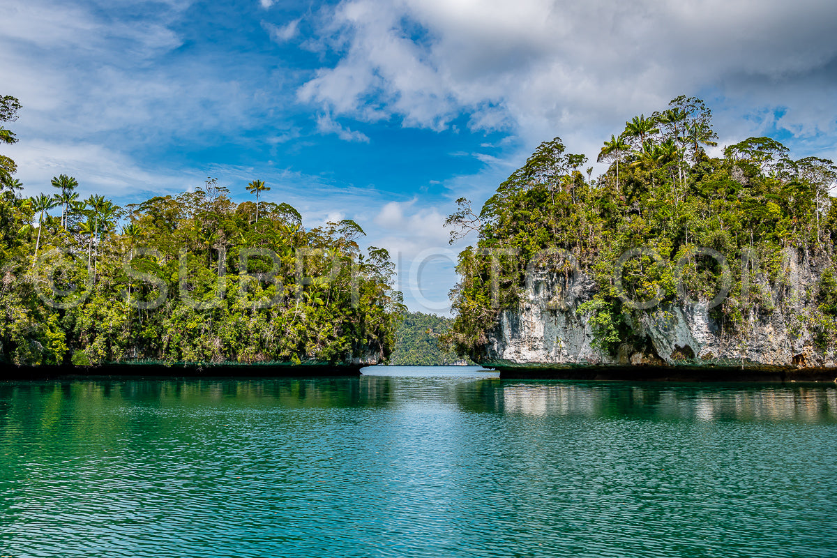 Waigeo- Kri- Mushroom Island- group of small islands in shallow blue lagoon water- Raja Ampat- West Papua- Indonesia