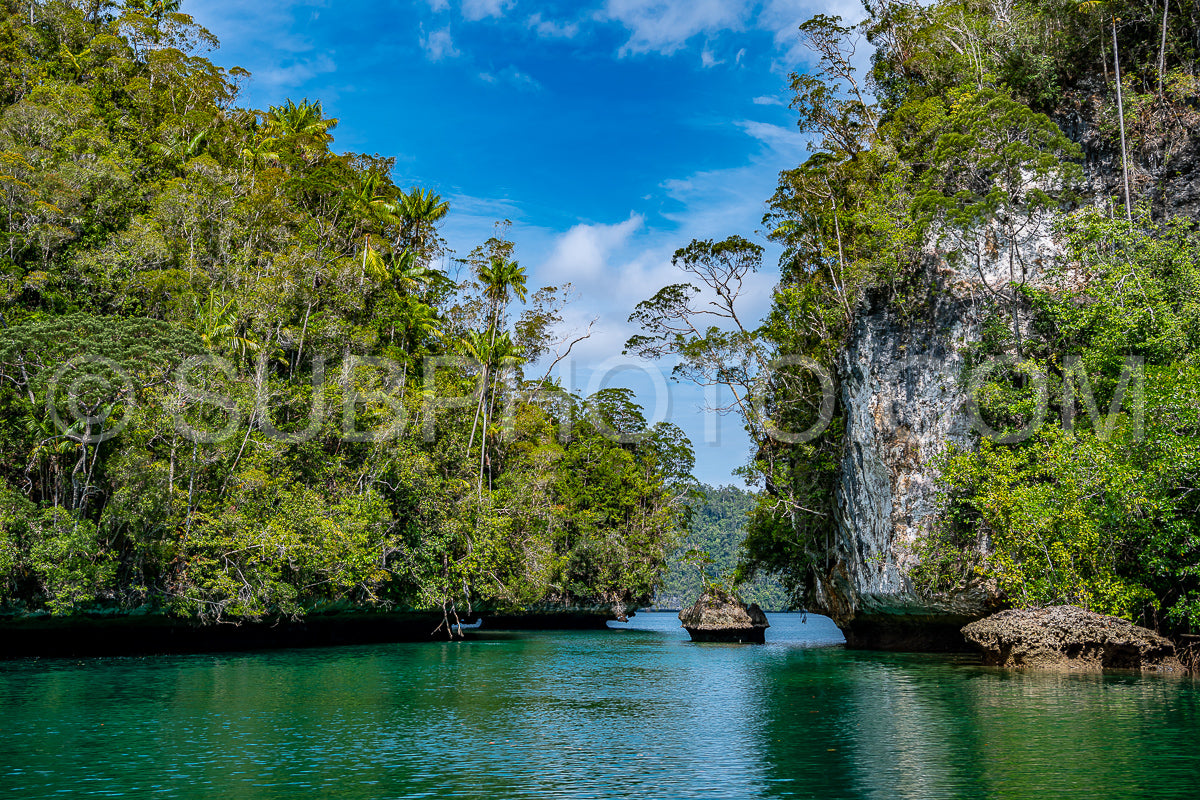 Waigeo- Kri- Mushroom Island- group of small islands in shallow blue lagoon water- Raja Ampat- West Papua- Indonesia