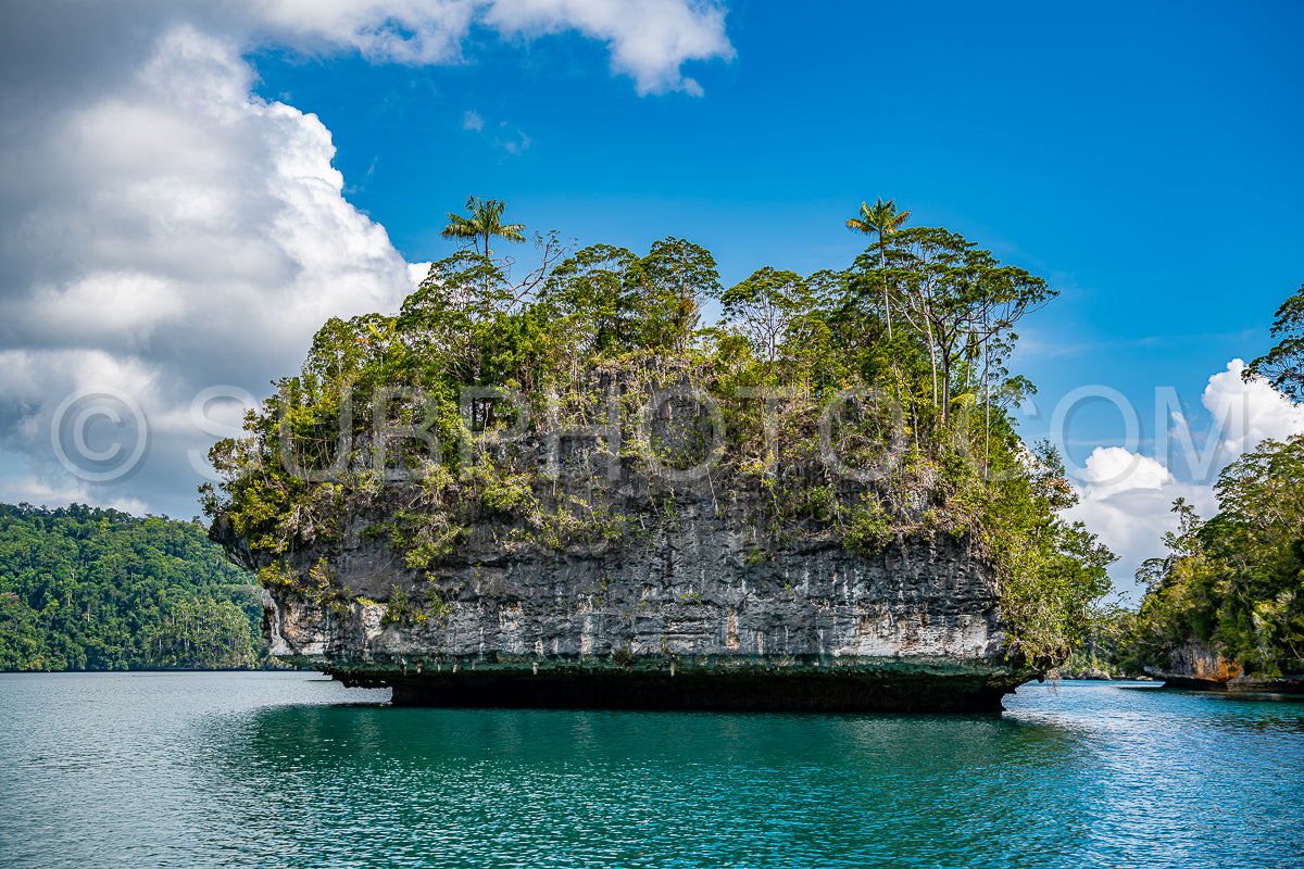 Waigeo- Kri- Mushroom Island- group of small islands in shallow blue lagoon water- Raja Ampat- West Papua- Indonesia
