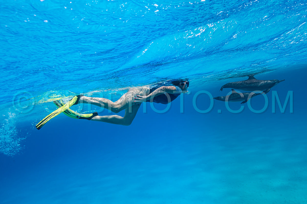 Photo de femme nageant avec un groupe de dauphins à long bec (Stenella longirorstris) sur le sable dans le récif de Sataya - Egypte - Mer Rouge