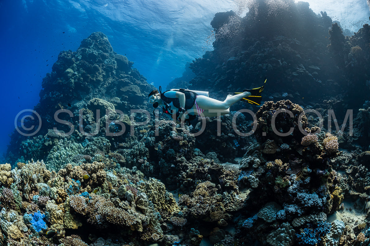 woman diver visiting underwater cave in the Red Sea- egypt- Shaab Claude