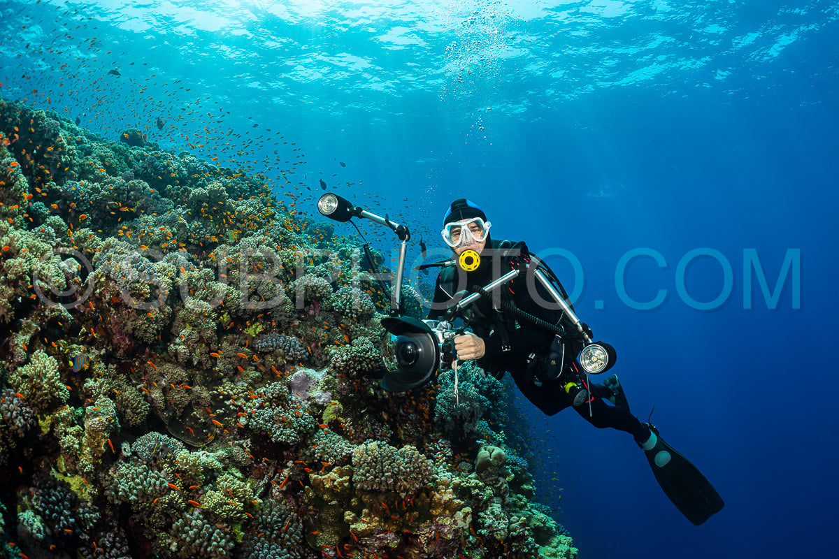 Photo de Récif tropical typique de la mer Rouge avec des coraux durs et mous entourés d'un banc d'anthias orange et d'un plongeur photographe.
