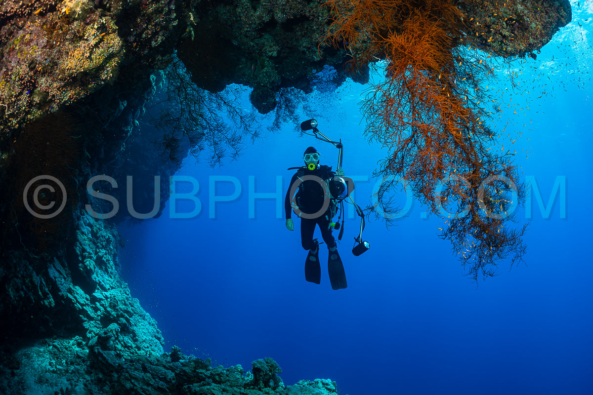 Photo de Récif tropical typique de la mer Rouge avec des coraux durs et mous entourés d'un banc d'anthias orange et d'un plongeur photographe.