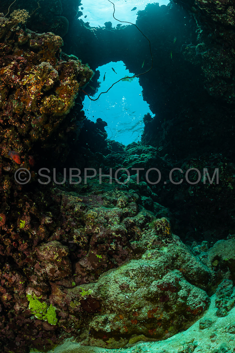 typical underwater cave in a red sea reef