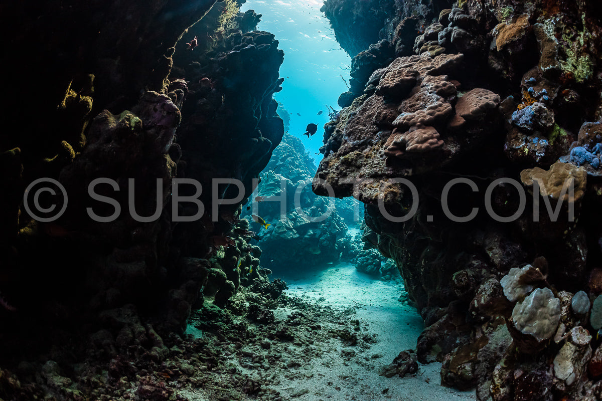 typical underwater cave in a red sea reef