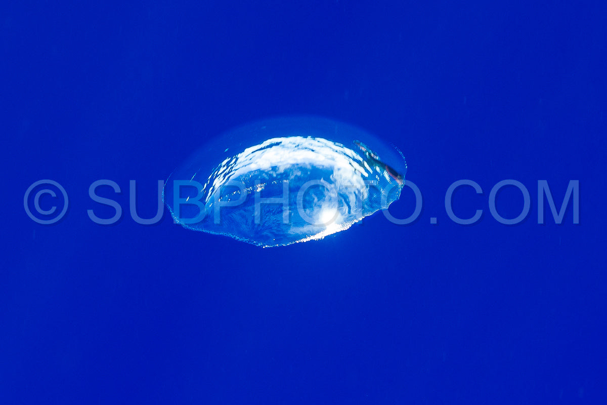 Photo de bulles d'air sous l'eau remontant à la surface de l'eau dans un océan bleu profond