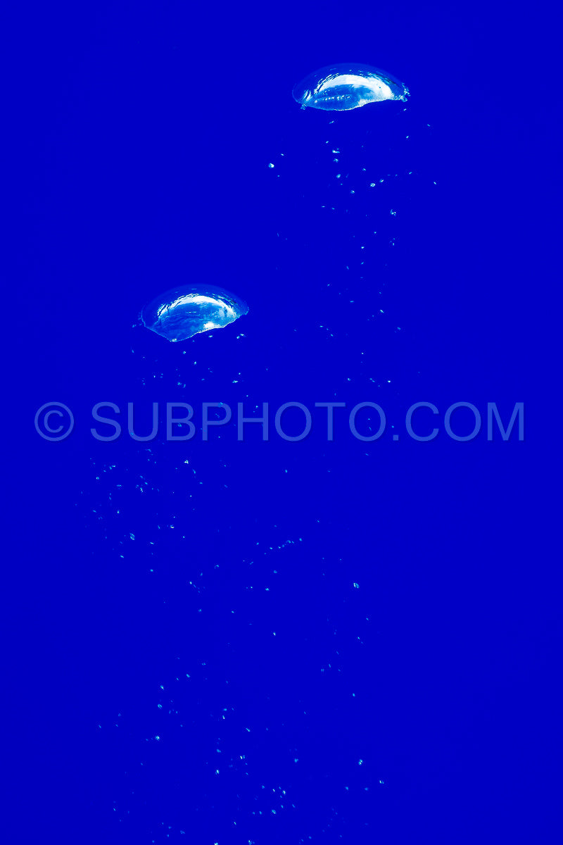 Photo de bulles d'air sous l'eau remontant à la surface de l'eau dans un océan bleu profond