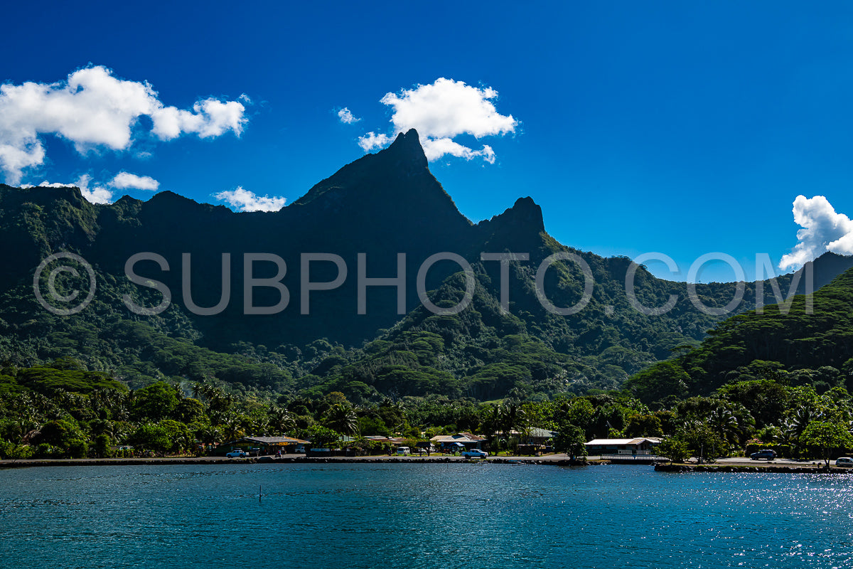 view of Moorea harbor- French Polynesia