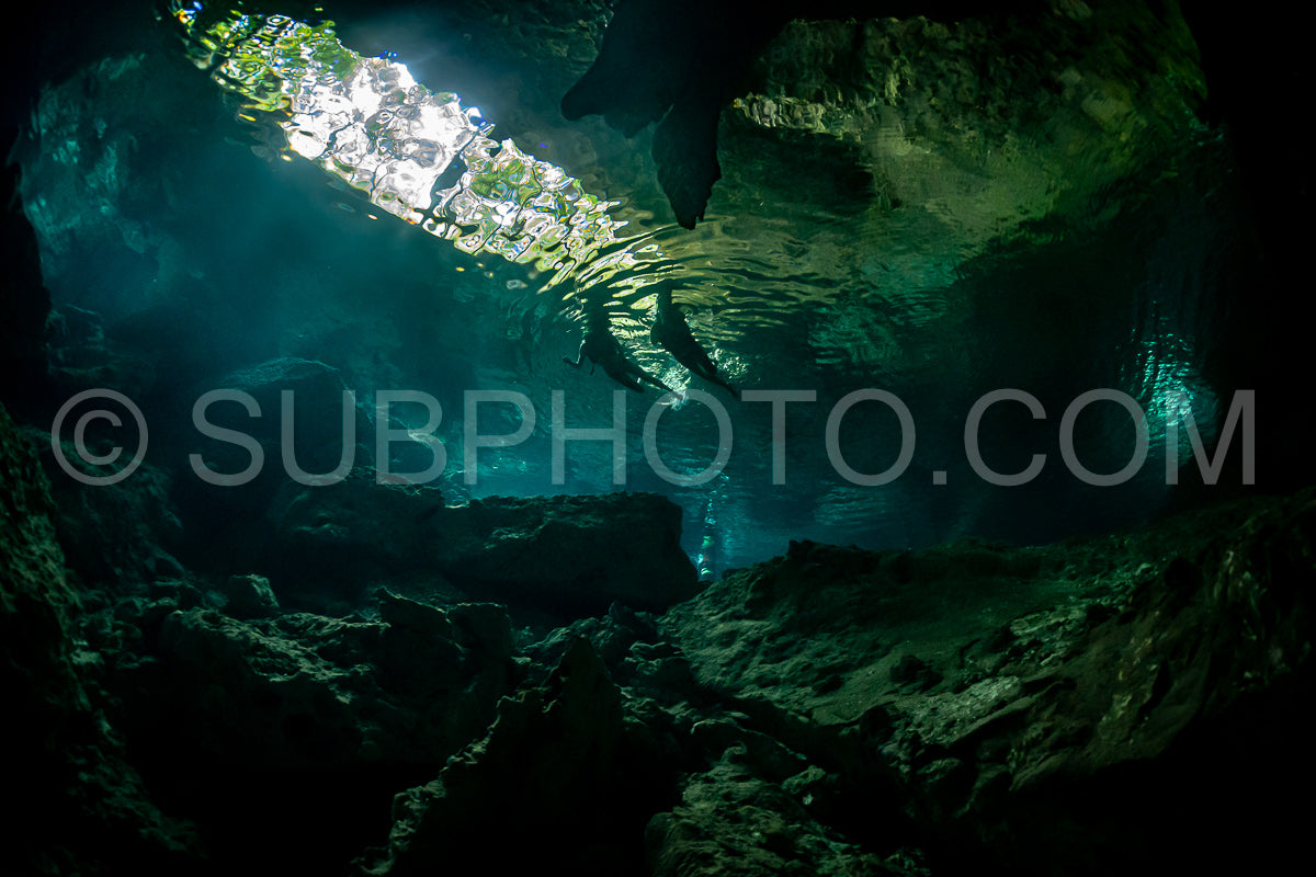 cave diver instructor leading a group of divers in a mexican cenote underwater