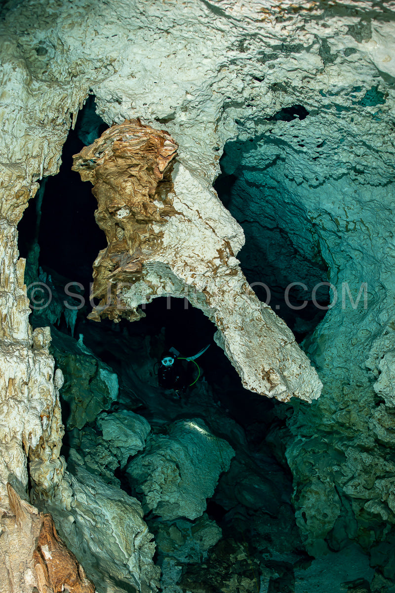 Photo de instructeur de plongée spéléo dirigeant un groupe de plongeurs dans un cenote mexicain sous l'eau