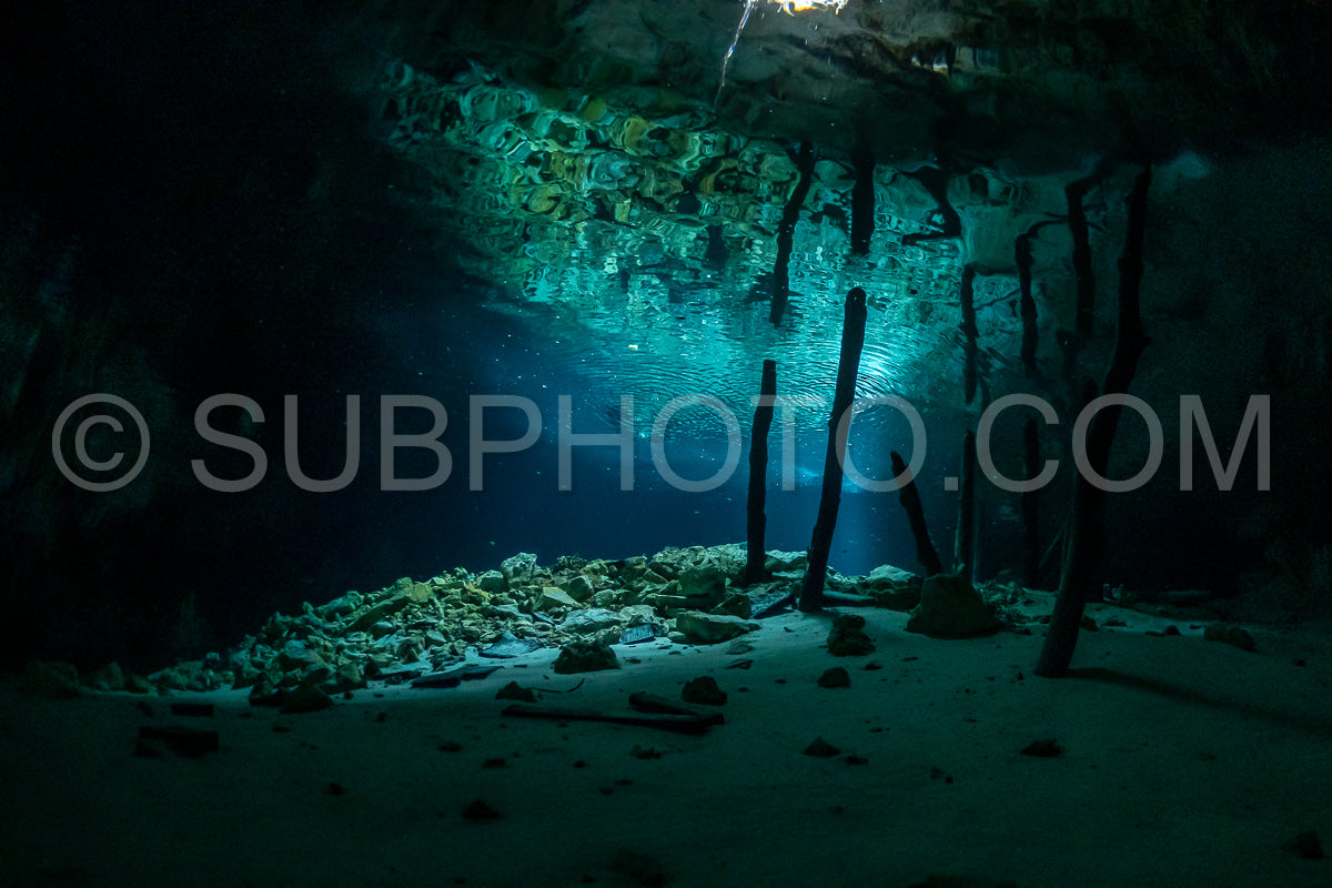 Photo de instructeur de plongée spéléo dirigeant un groupe de plongeurs dans un cenote mexicain sous l'eau