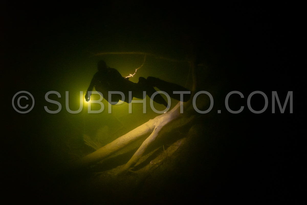 Photo de instructeur de plongée spéléo dirigeant un groupe de plongeurs dans un cenote mexicain sous l'eau