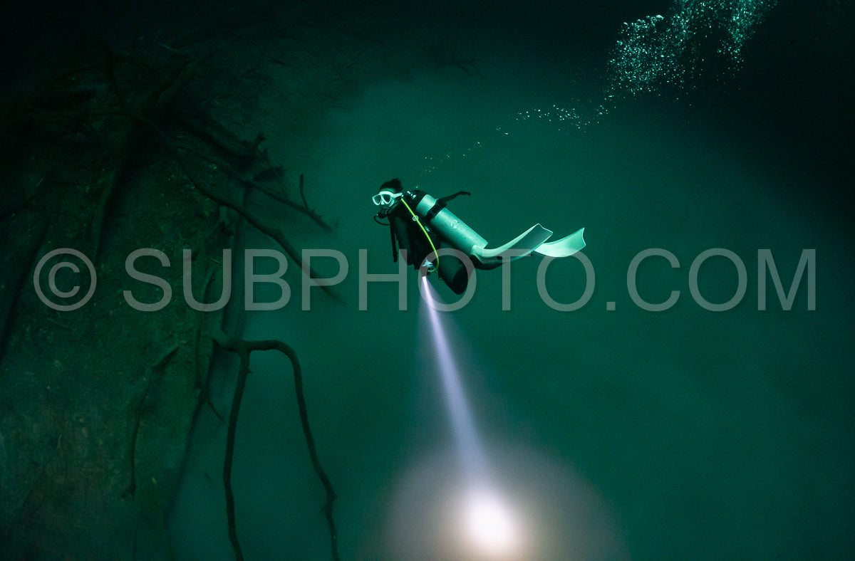 Photo de instructeur de plongée spéléo dirigeant un groupe de plongeurs dans un cenote mexicain sous l'eau