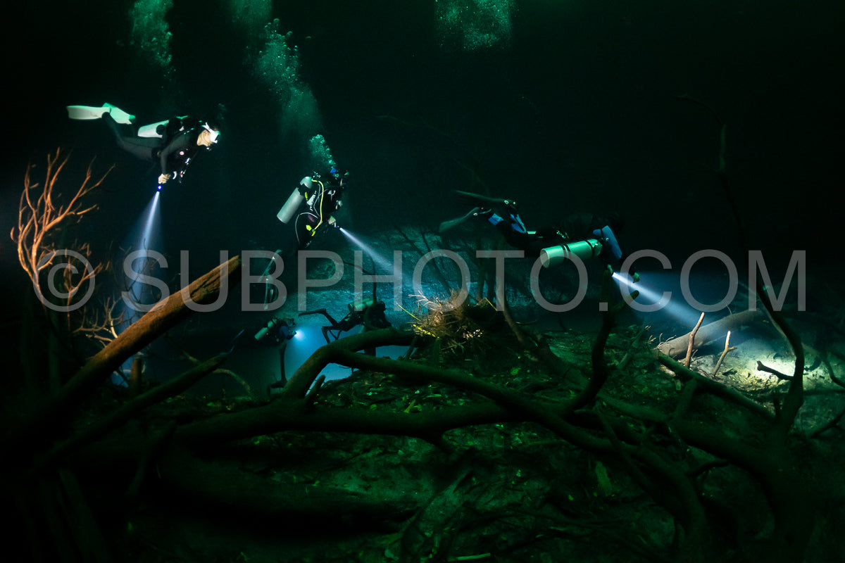 Photo de instructeur de plongée spéléo dirigeant un groupe de plongeurs dans un cenote mexicain sous l'eau