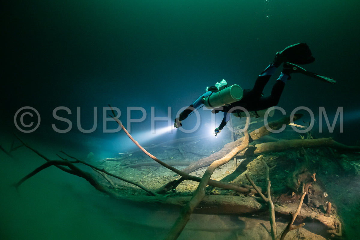 Photo de instructeur de plongée spéléo dirigeant un groupe de plongeurs dans un cenote mexicain sous l'eau