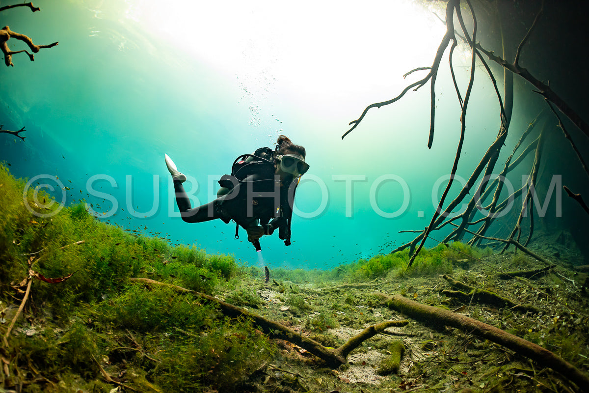 Photo de instructeur de plongée spéléo dirigeant un groupe de plongeurs dans un cenote mexicain sous l'eau