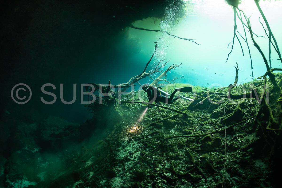 Photo de instructeur de plongée spéléo dirigeant un groupe de plongeurs dans un cenote mexicain sous l'eau