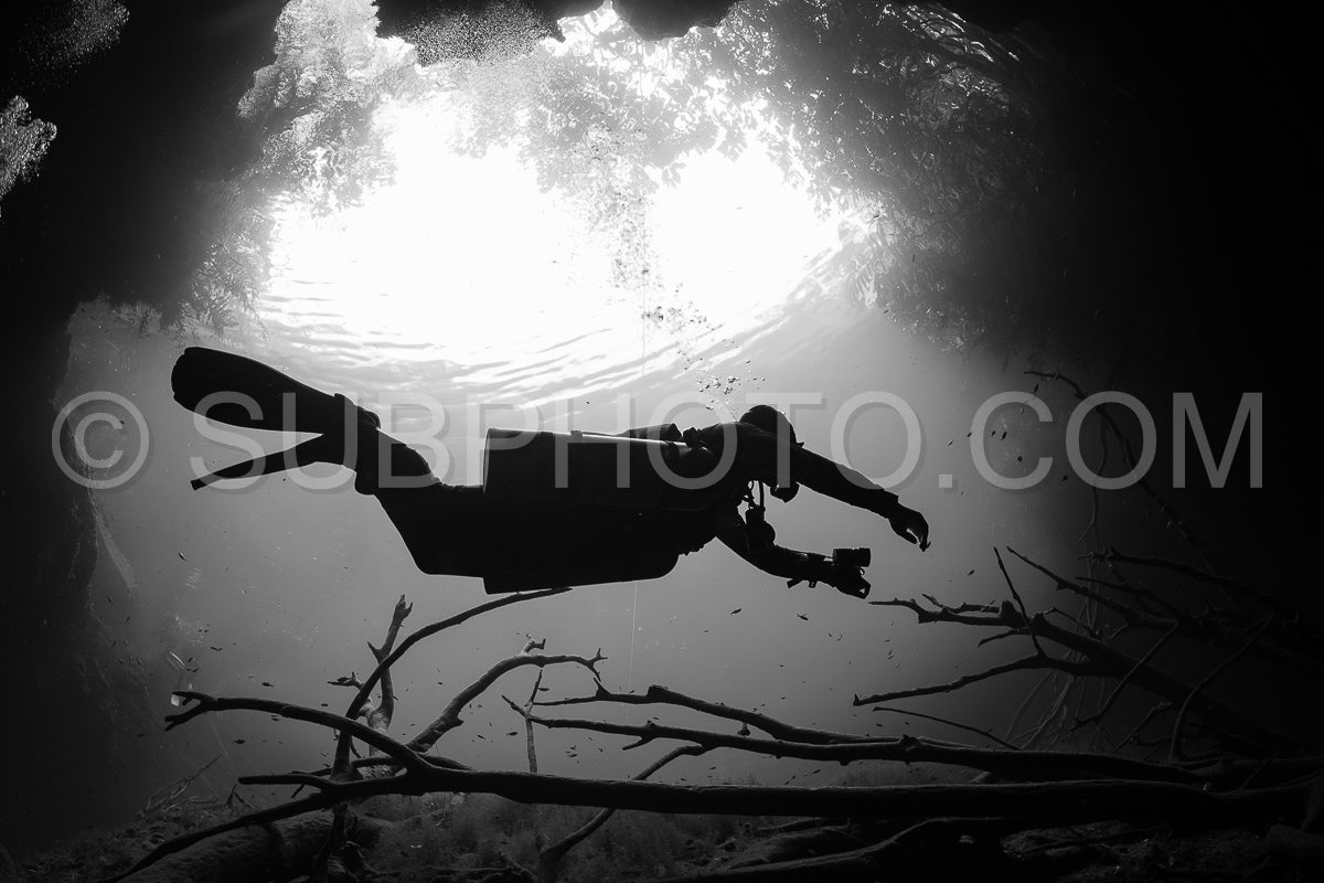Photo de instructeur de plongée spéléo dirigeant un groupe de plongeurs dans un cenote mexicain sous l'eau