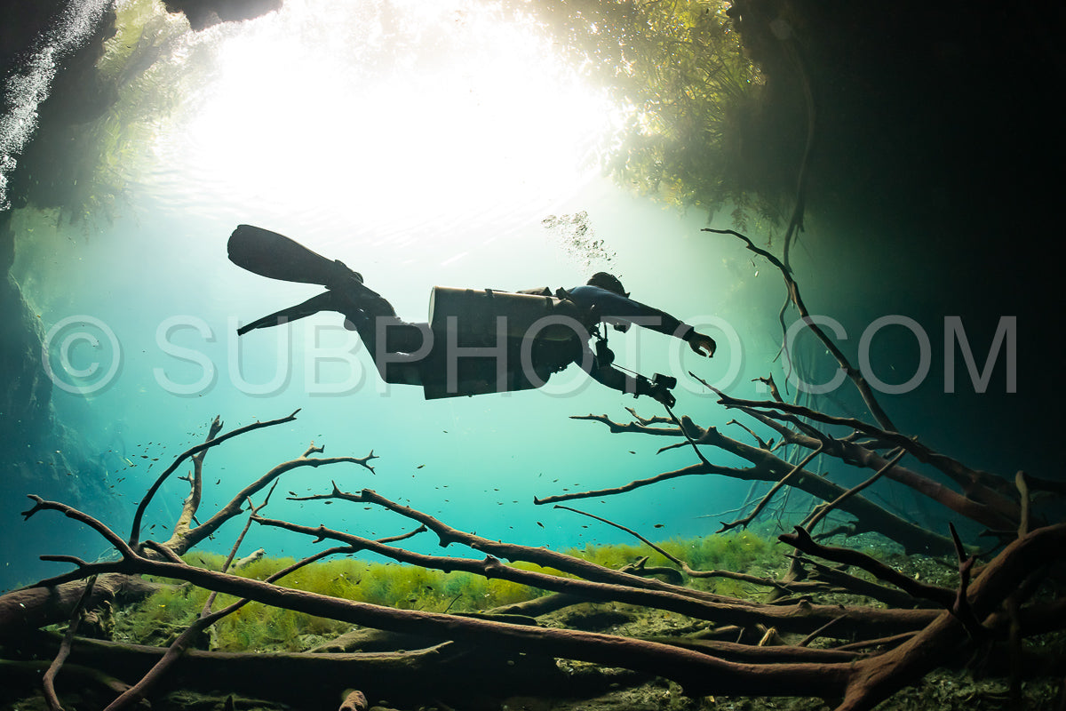 Photo de instructeur de plongée spéléo dirigeant un groupe de plongeurs dans un cenote mexicain sous l'eau