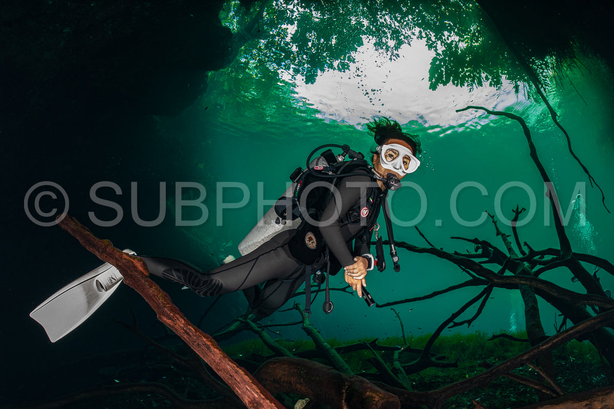 Photo de instructeur de plongée spéléo dirigeant un groupe de plongeurs dans un cenote mexicain sous l'eau