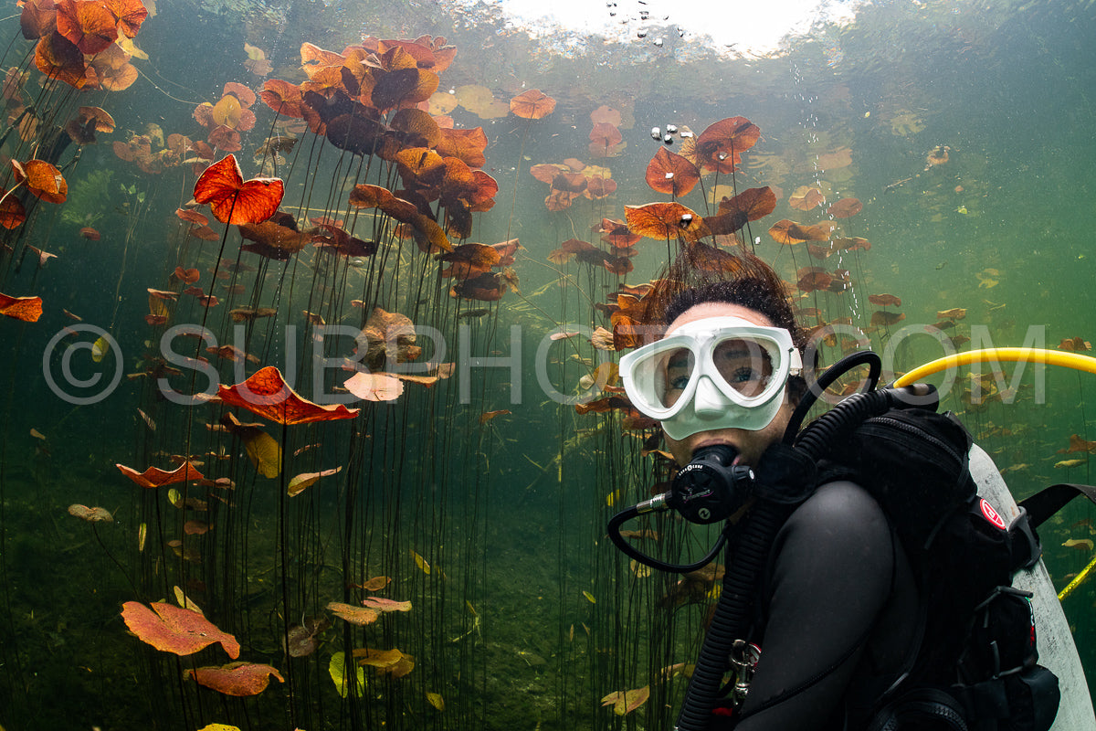 Photo de instructeur de plongée spéléo dirigeant un groupe de plongeurs dans un cenote mexicain sous l'eau