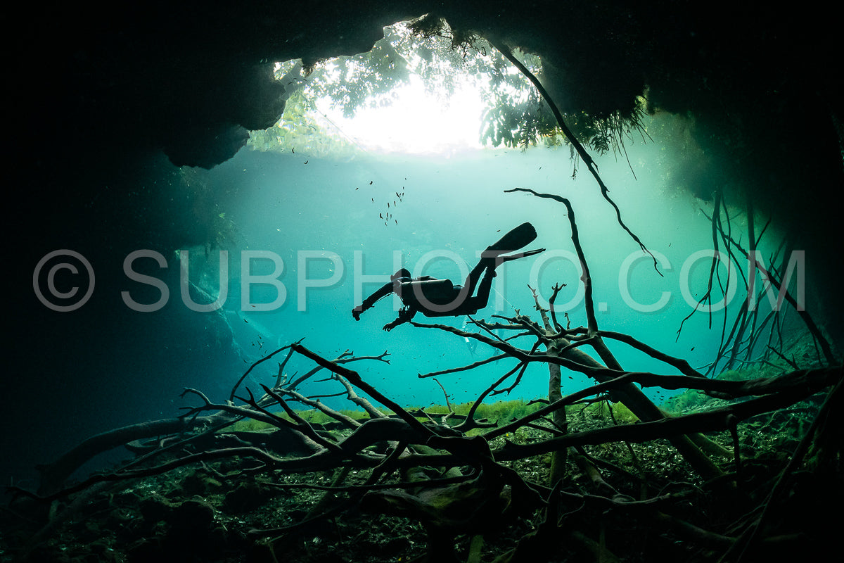 Photo de instructeur de plongée spéléo dirigeant un groupe de plongeurs dans un cenote mexicain sous l'eau