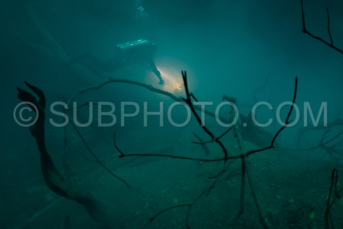cave diver instructor leading a group of divers in a mexican cenote underwater