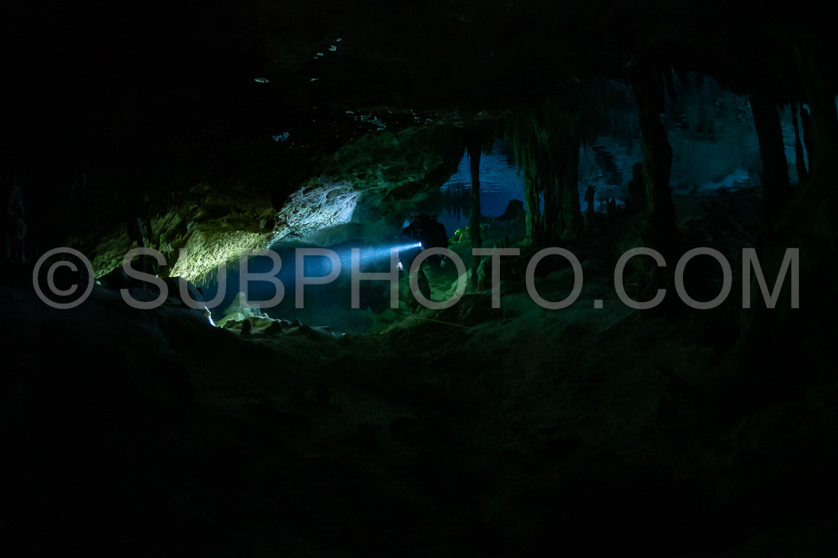 Photo de instructeur de plongée spéléo dirigeant un groupe de plongeurs dans un cenote mexicain sous l'eau