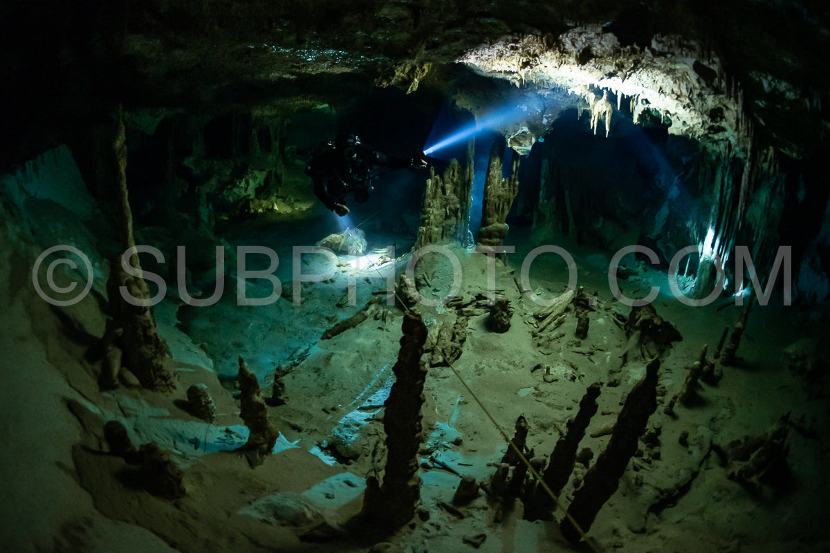 Photo de instructeur de plongée spéléo dirigeant un groupe de plongeurs dans un cenote mexicain sous l'eau