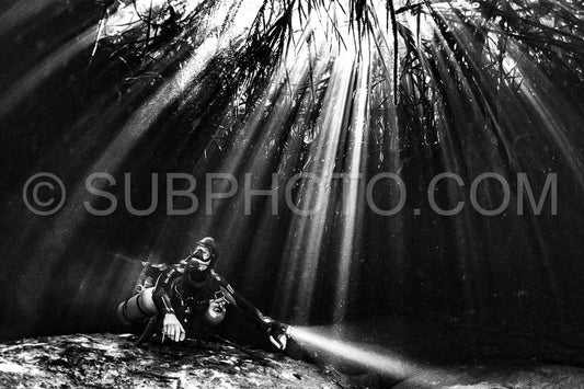 Photo de instructeur de plongée spéléo dirigeant un groupe de plongeurs dans un cenote mexicain sous l'eau