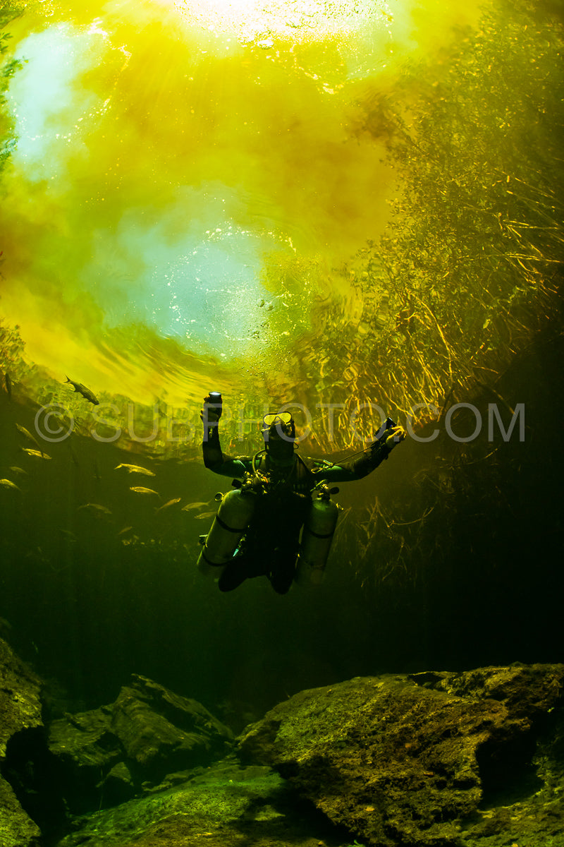 Photo de instructeur de plongée spéléo dirigeant un groupe de plongeurs dans un cenote mexicain sous l'eau