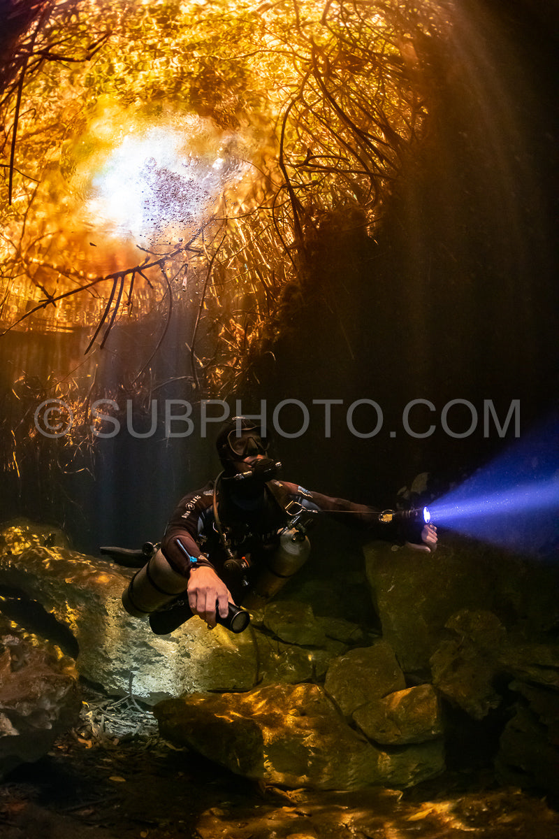 Photo de instructeur de plongée spéléo dirigeant un groupe de plongeurs dans un cenote mexicain sous l'eau
