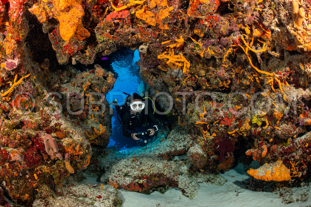 woman scuba diving on Cozumel coral reef in Mexico