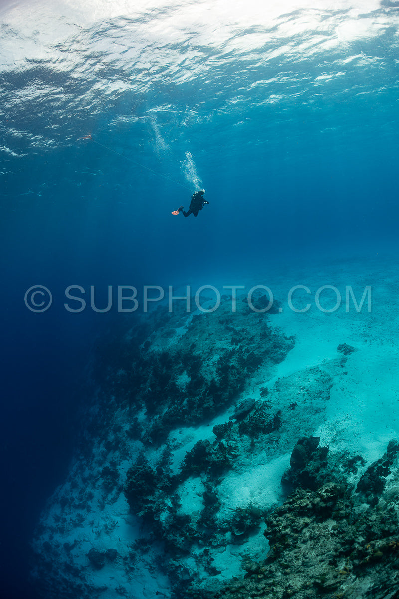 woman scuba diving on Cozumel coral reef in Mexico