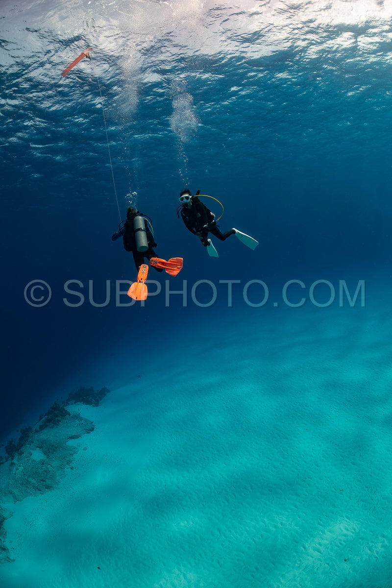 Photo de Femme faisant de la plongée sous-marine sur le récif corallien de Cozumel au Mexique