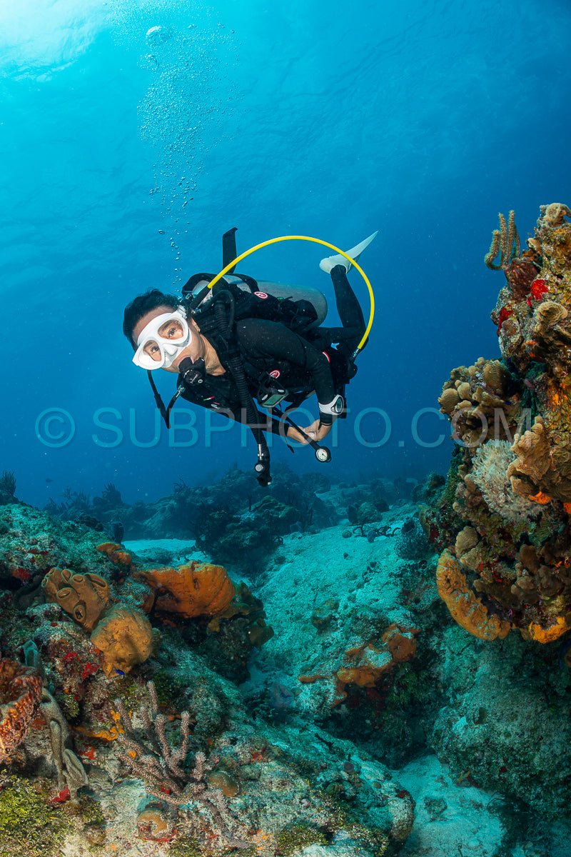 woman scuba diving on Cozumel coral reef in Mexico