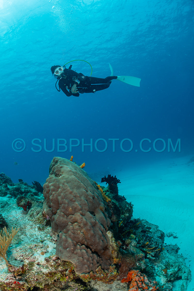 woman scuba diving on Cozumel coral reef in Mexico