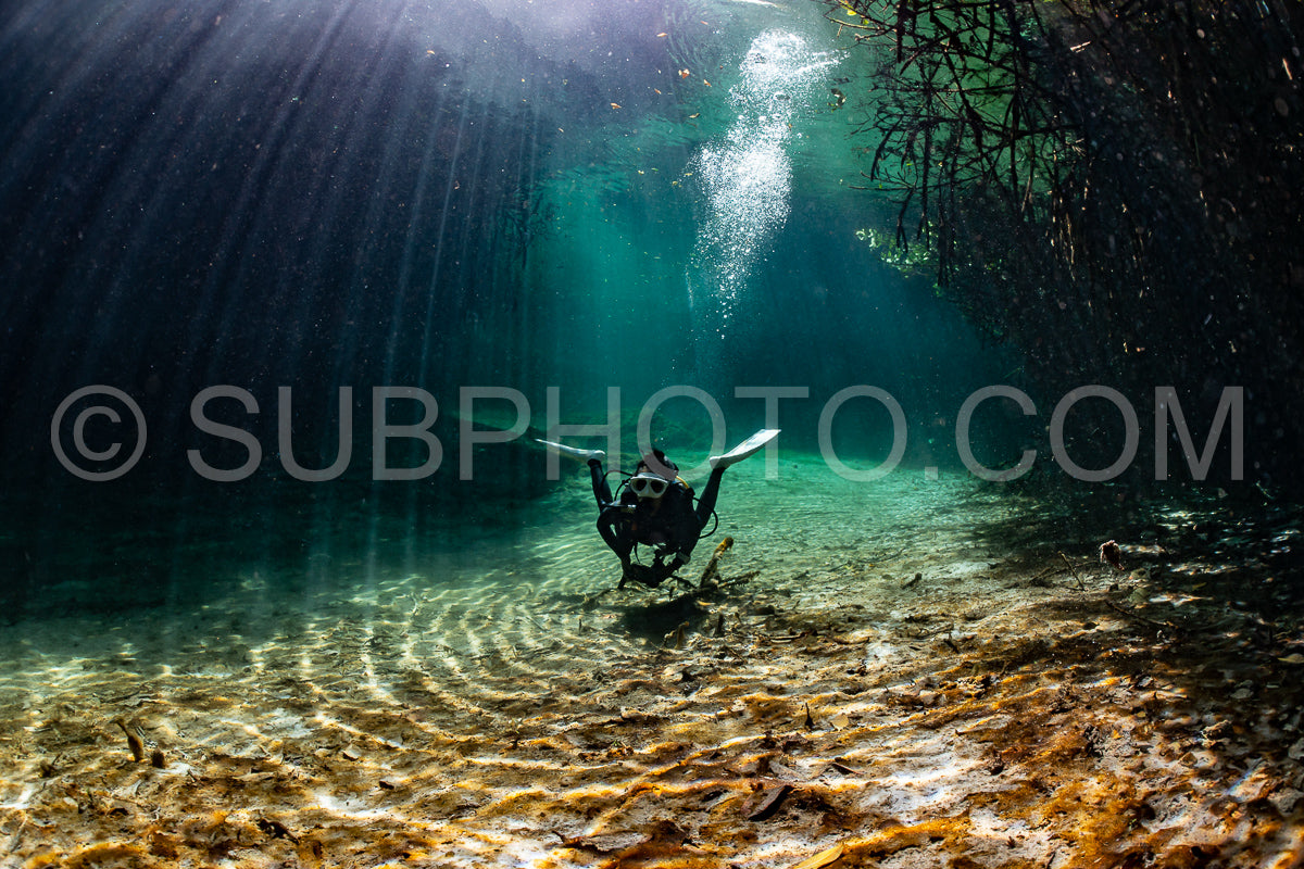 Photo de instructeur de plongée spéléo dirigeant un groupe de plongeurs dans un cenote mexicain sous l'eau