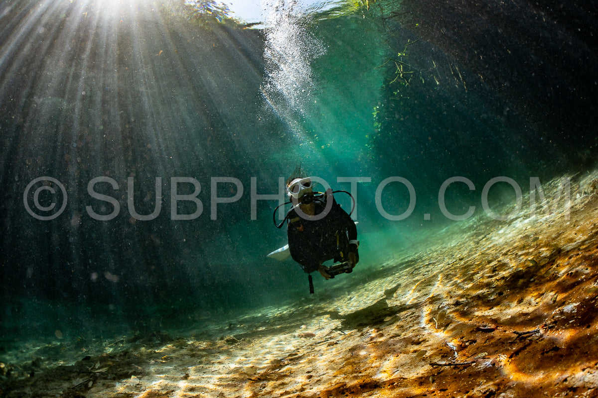 cave diver instructor leading a group of divers in a mexican cenote underwater