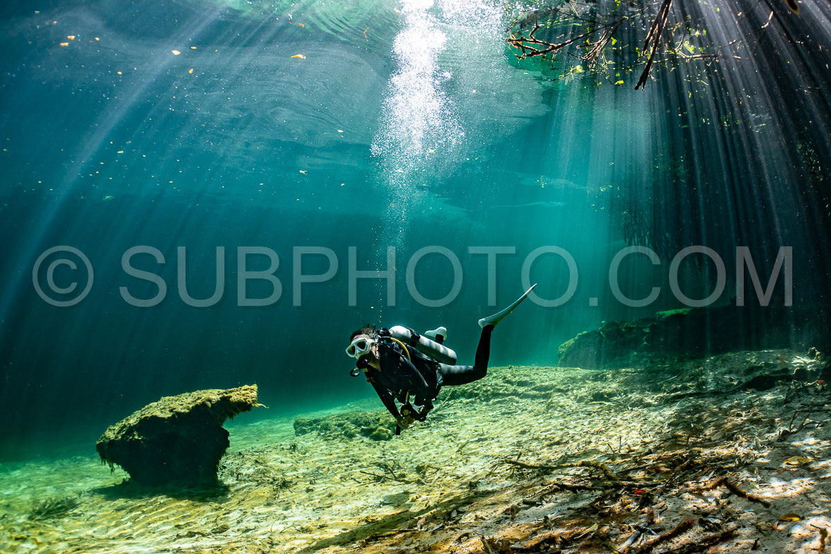 cave diver instructor leading a group of divers in a mexican cenote underwater